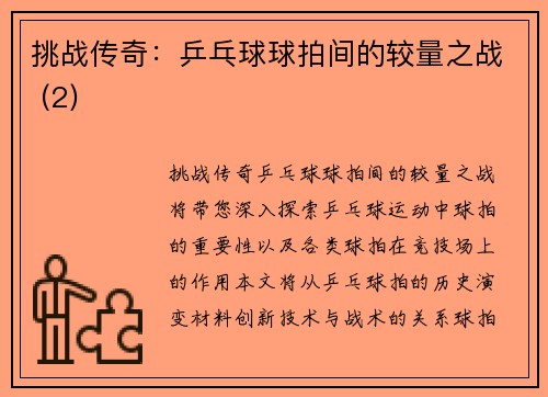 挑战传奇：乒乓球球拍间的较量之战 (2)